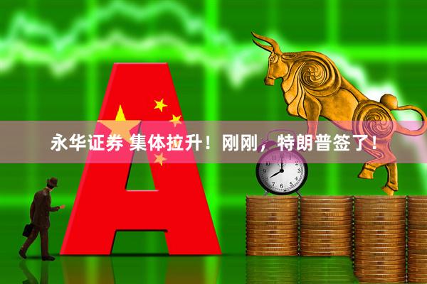 永华证券 集体拉升！刚刚，特朗普签了！