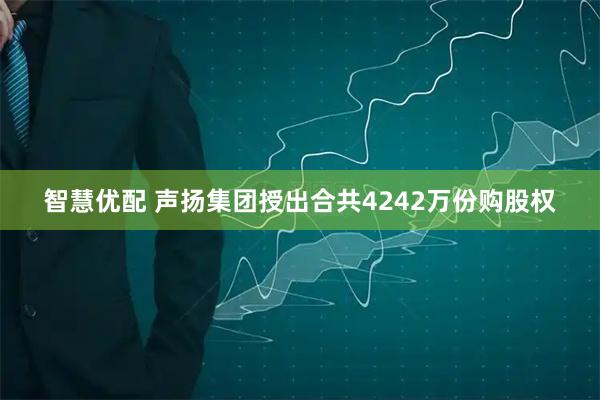 智慧优配 声扬集团授出合共4242万份购股权