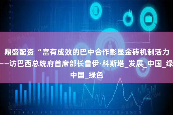 鼎盛配资 “富有成效的巴中合作彰显金砖机制活力”——访巴西总统府首席部长鲁伊·科斯塔_发展_中国_绿色