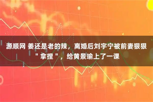 源顺网 姜还是老的辣，离婚后刘宇宁被前妻狠狠＂拿捏＂，给黄景瑜上了一课