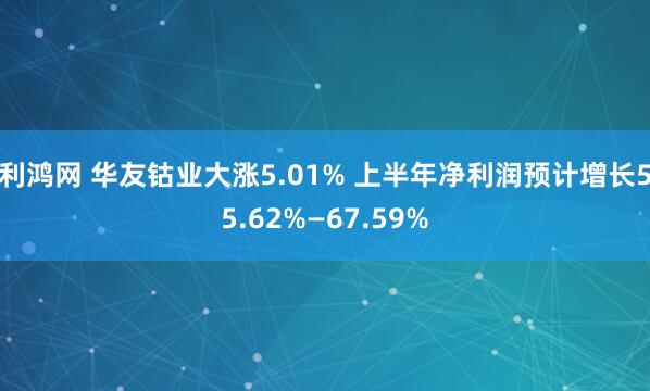 利鸿网 华友钴业大涨5.01% 上半年净利润预计增长55.62%—67.59%